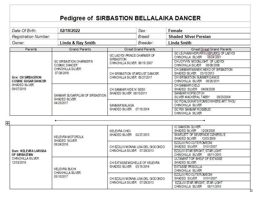 Bella Pedigree