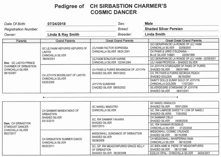 Cosmo Pedigree